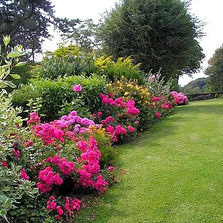 Flore D'hotes