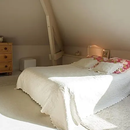 Flore D'hotes Ault