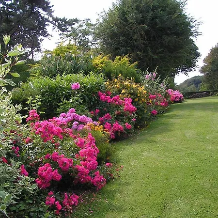 Flore D'hotes Couette-café